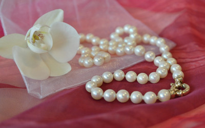 パールが本真珠か模造真珠かを見極めたい！パールの品質を見分けるために必要な知識