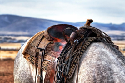 馬具メーカーからファッションブランドへと変わっていったエルメスの歴史