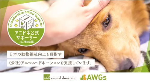動物福祉団体への寄付