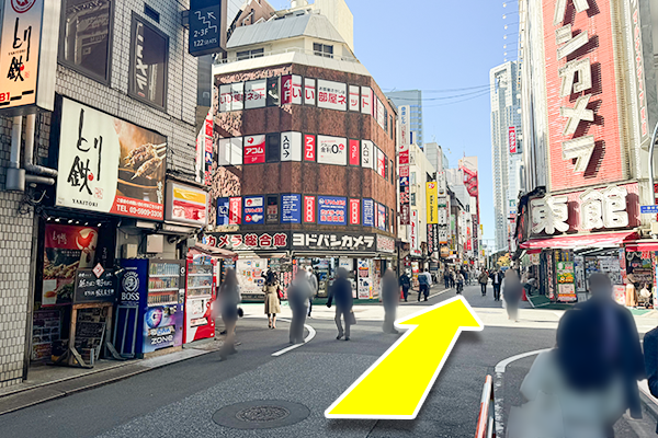 ヨドバシカメラ東館とカメラ総合館の間を直進します。
