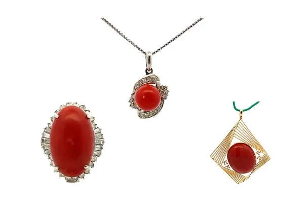 珊瑚（サンゴ）の価値を決める8つの要素