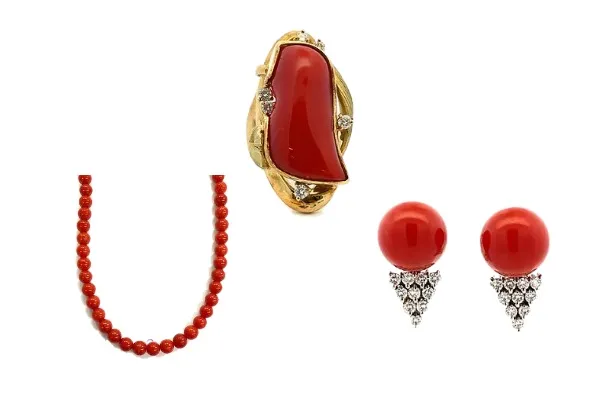 珊瑚（サンゴ）の種類で変わる価値基準