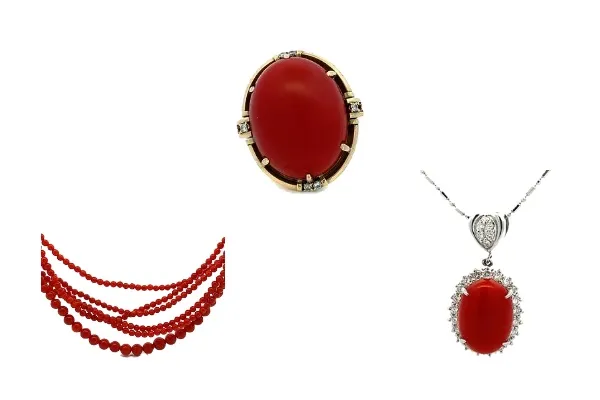 珊瑚（サンゴ）の見分け方