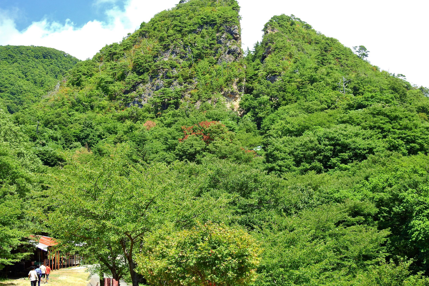 江戸幕府の金山開発の<br class=