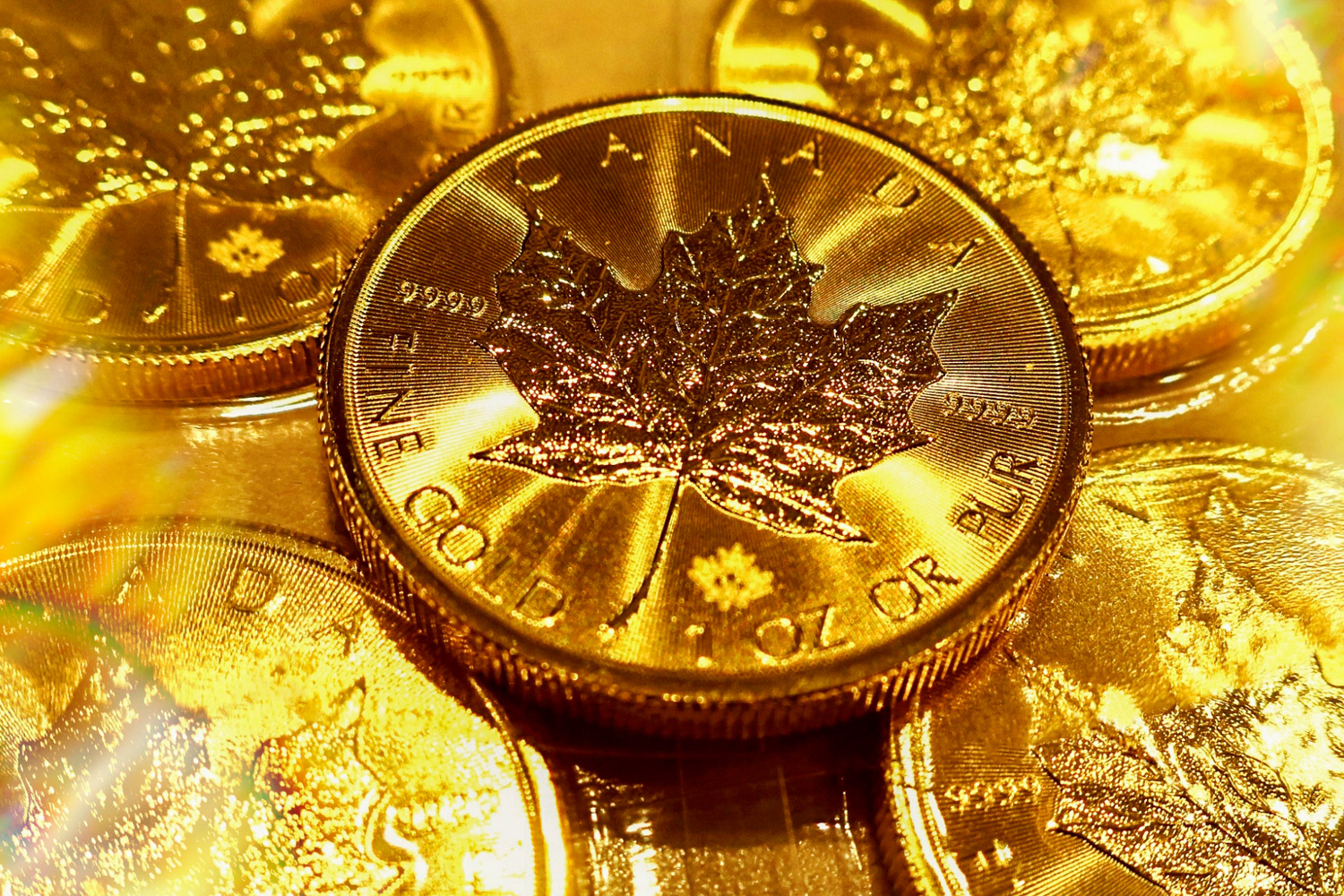 金貨の種類を徹底的にご紹介！地金型金貨から日本の金貨の歴史まで