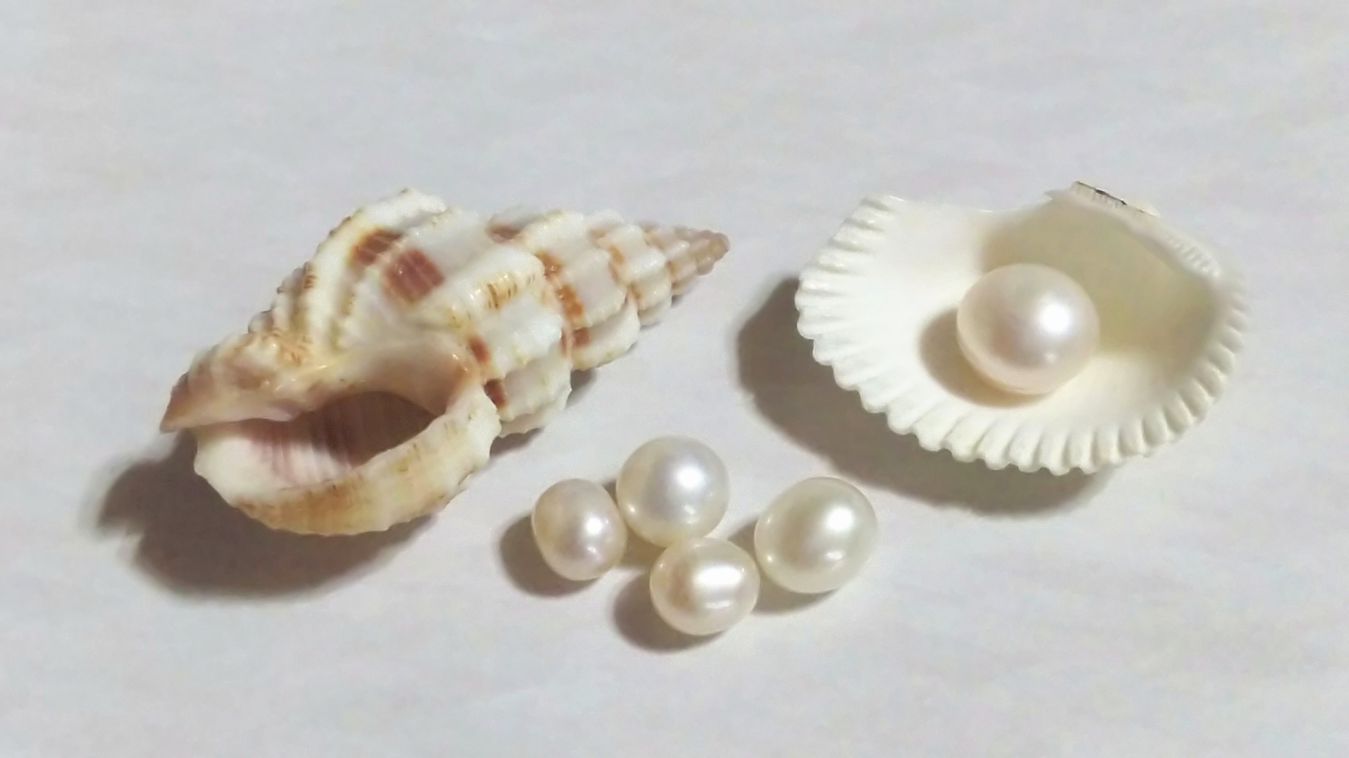 世界で初めて真珠の養殖を成功させた「ミキモト(MIKIMOTO)」 - 金
