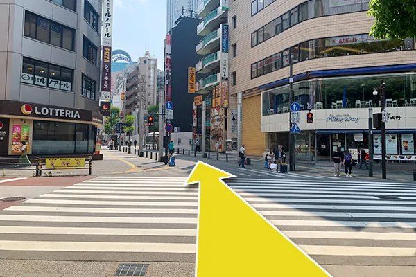 横断歩道を渡って行きます。