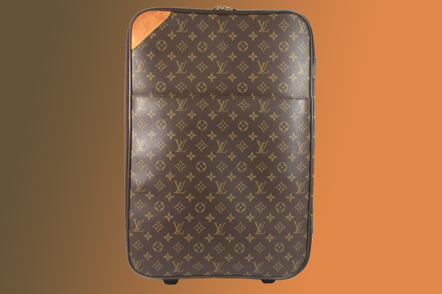 LOUIS VUITTON ルイ・ヴィトン ガーメントカバー （LOUIS VUITTON  