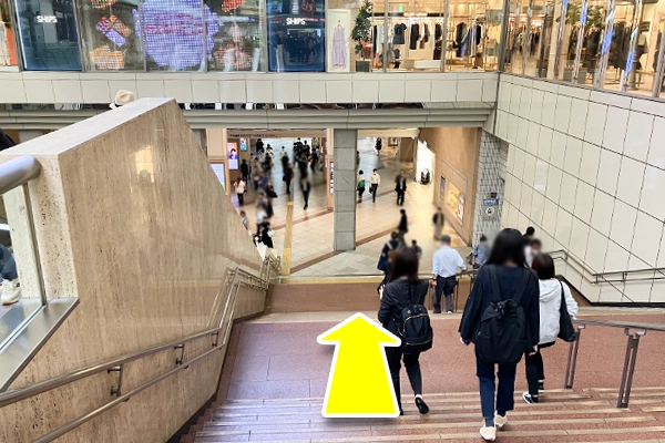 進んでいくと階段・エスカレーターがありますので下ります