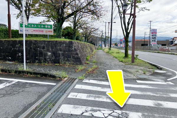 ハッピネス・ヒル・幸田を右手に国道248沿いをガストの方へ直進します。