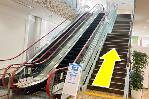エスカレーター・階段を上ります。