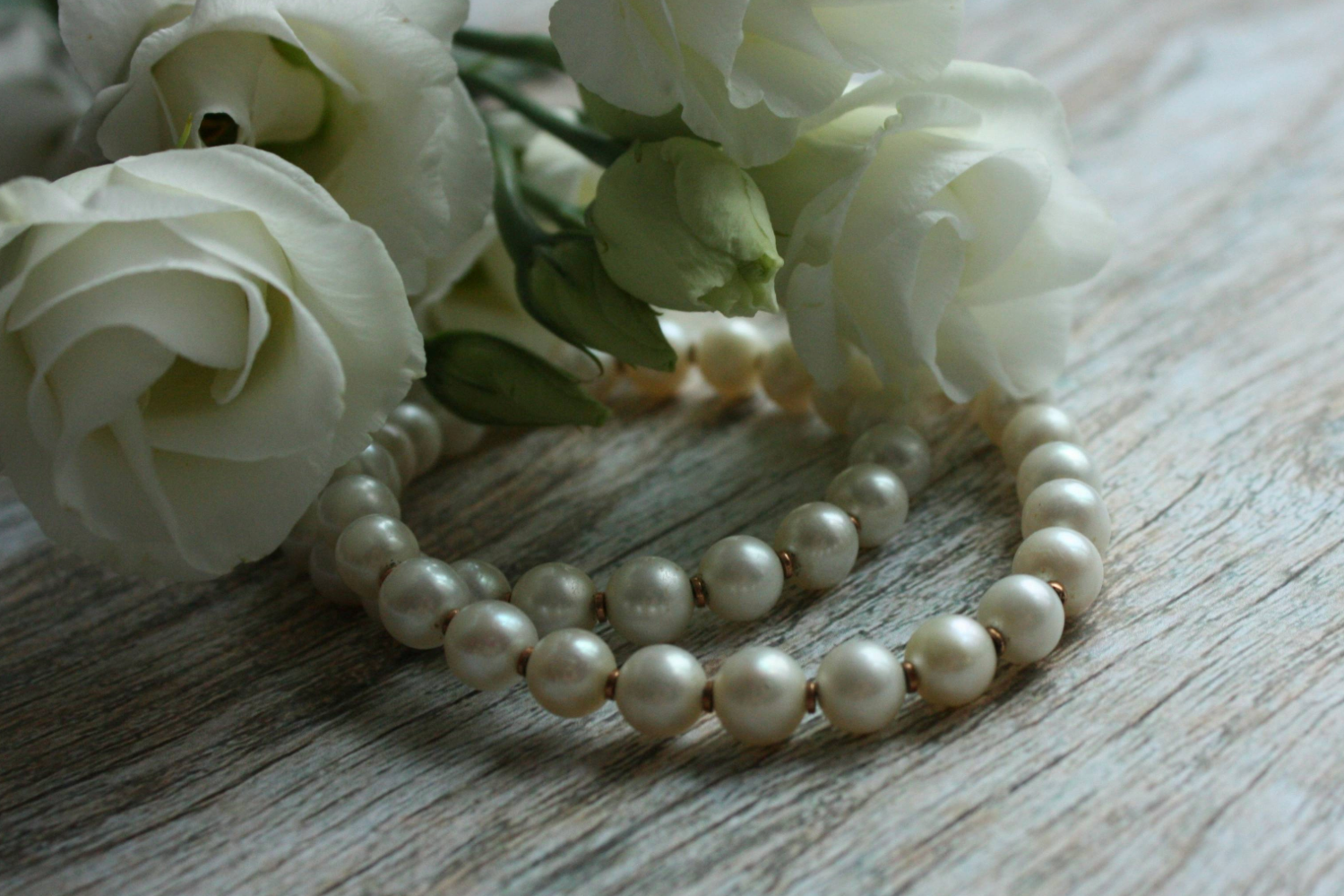 スキャロップパール　2.5ミリ スキャロップパール 2.5ミリ