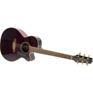 タカミネ・ギター DMP512WR