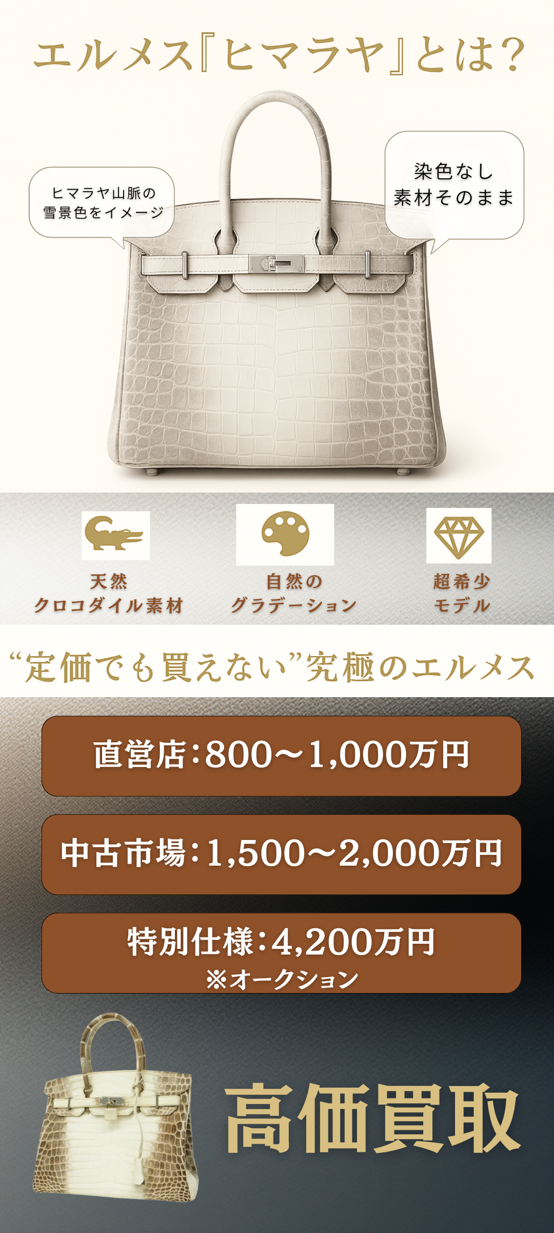 エルメスのバーキンやケリーのヒマラヤの定価はいくら?最新相場・入手難易度・高く売るコツまで徹底解説