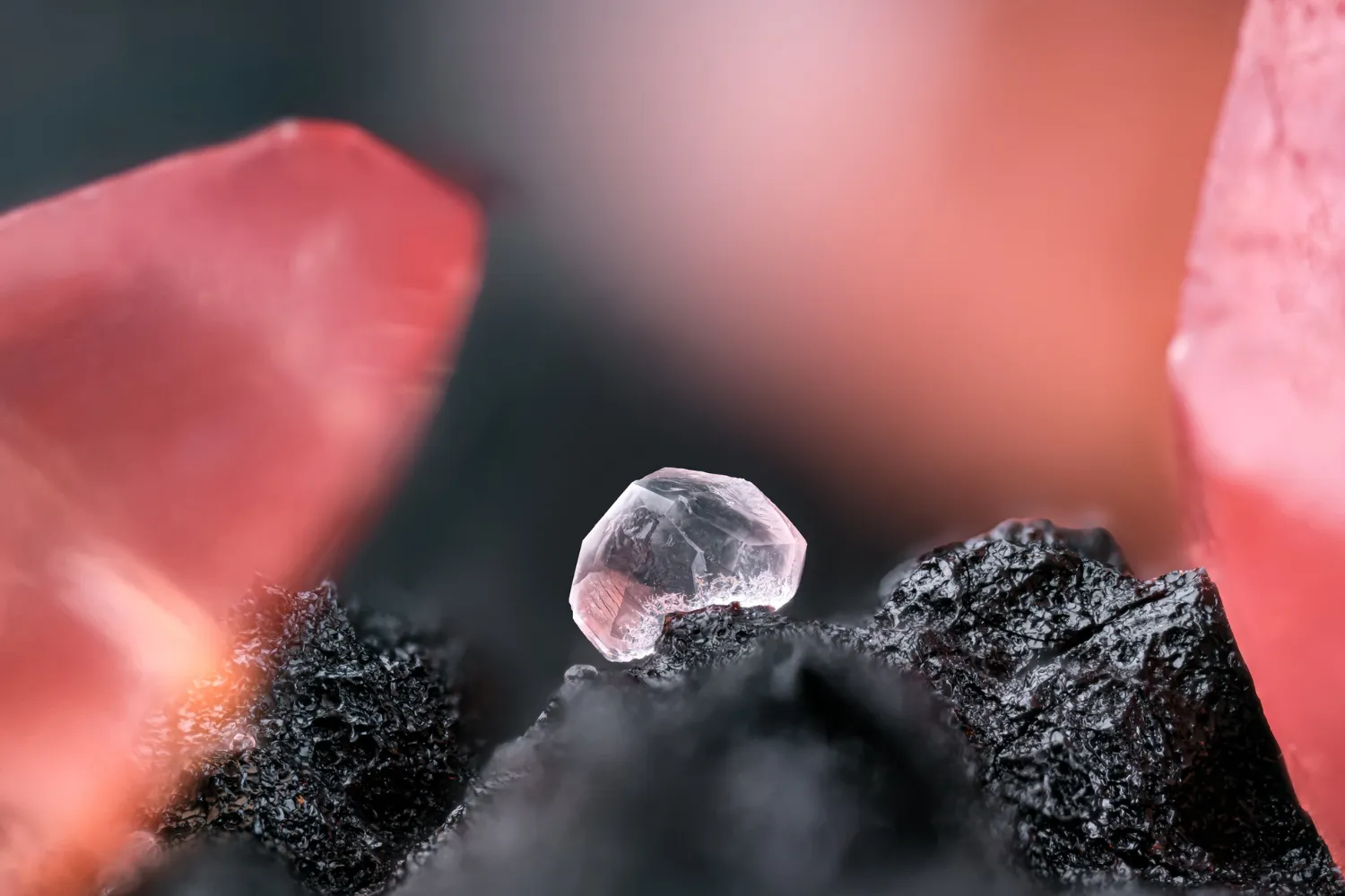 インカローズの効果とは?石言葉の意味とブレスレットで身につける魅力を解説