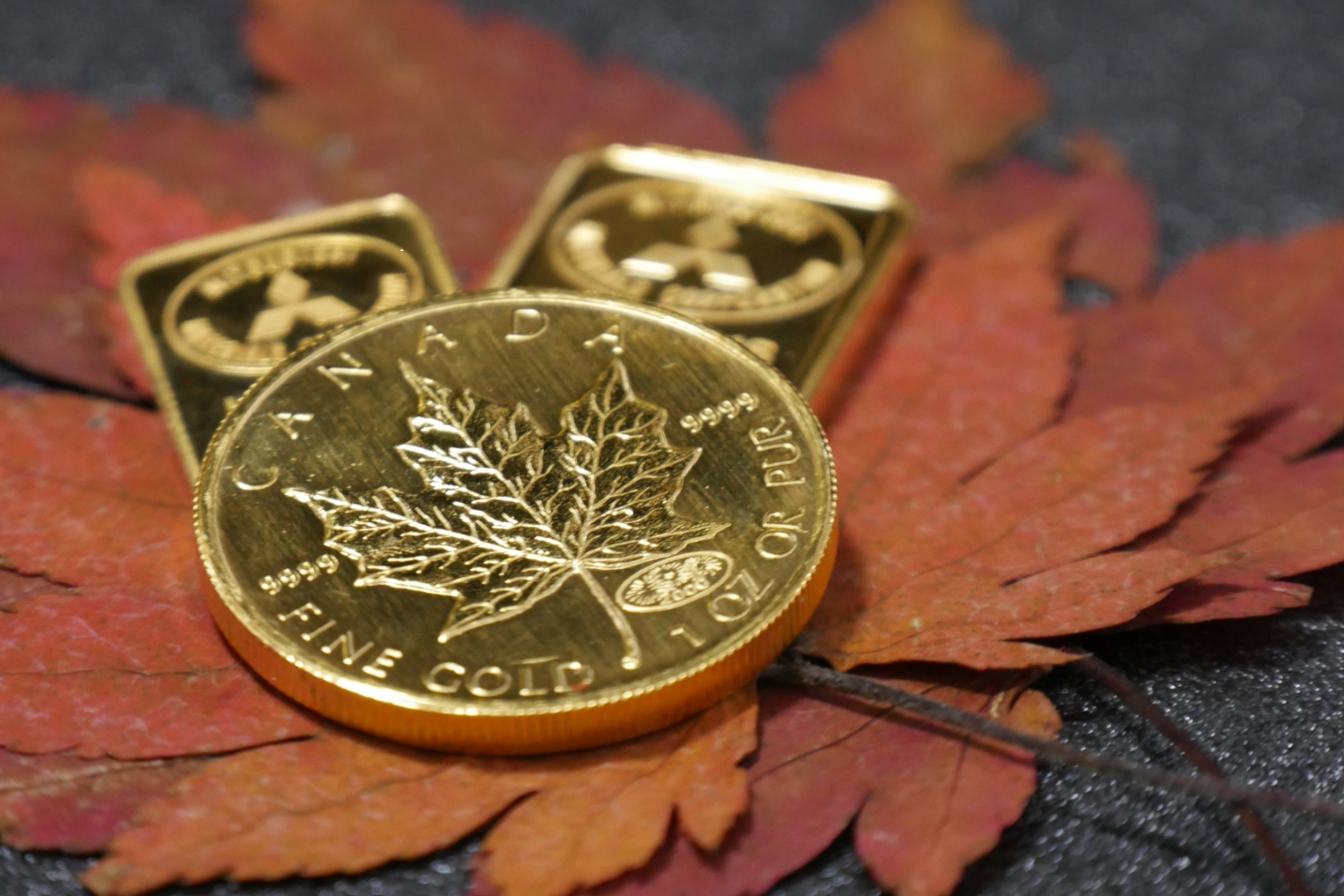 偽物のメイプルリーフ金貨が持つ特徴
