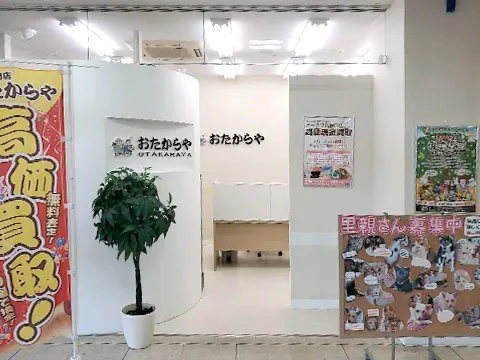 オークワ高野口店