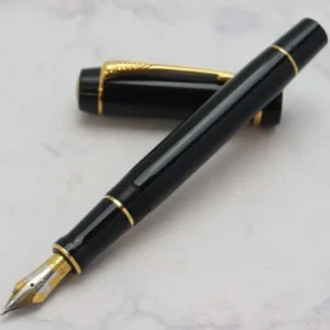 パーカー (PARKER) 万年筆 DUOFOLD ペン先18K