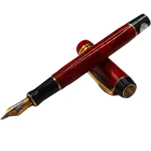 パーカー (Parker) 万年筆 ブラウン &ゴールド