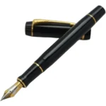 パーカー (PARKER) 万年筆 DUOFOLD ペン先18K
