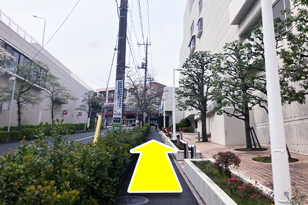 坂を登ります。