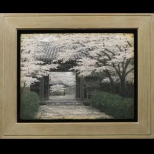 絵画 澁澤卿 飛花清遊