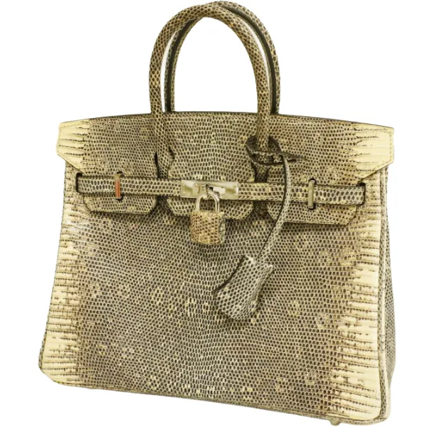 エルメス バーキン25 ハンドバッグ リザード □N刻印