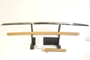 刀 葵紋 康継以南蠻鐡 於武州江戸作之