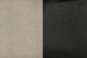 Toile H and Leather