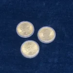 K24 メイプルリーフ金貨