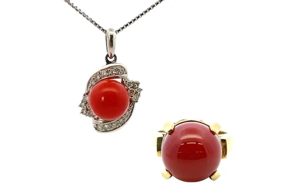 枝珊瑚（エダサンゴ）：征服