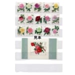 牡丹 中国切手1964年牡丹小型シート+牡丹シリーズ15種完