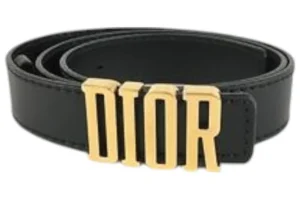 ディオールロゴベルト
