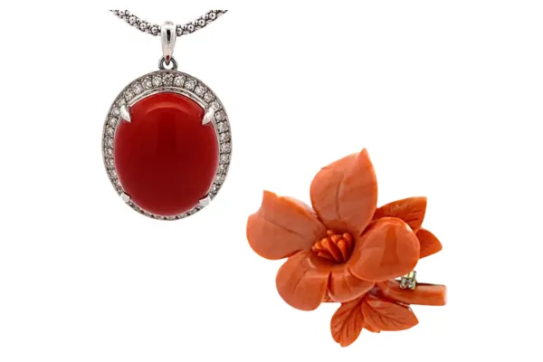 宝石珊瑚と造礁サンゴの違い