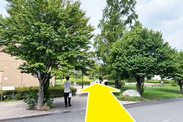目の前の公園を直進します。
