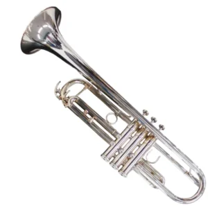 YAMAHAヤマハ Customカスタム YTR850 トランペット ミュート マウスピース2点