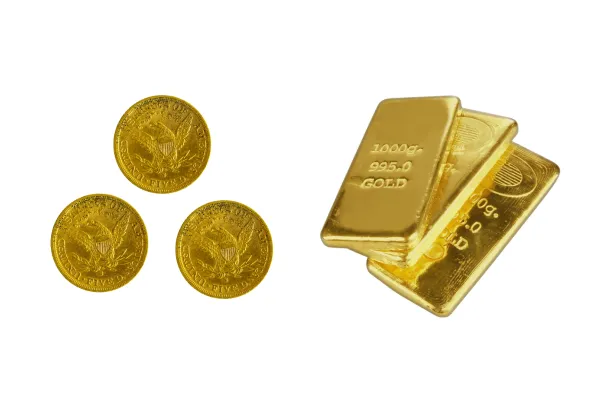 金のインゴット数枚と金貨数枚