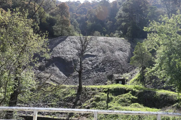 ゴールドフィールズ 山