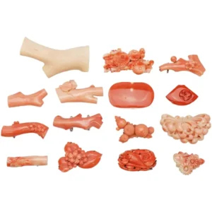 サンゴ 珊瑚 帯留15点 おまとめ 和装小物アクセサリー