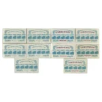 プレミア切手 未使用 切手趣味週間 SS小型シート5枚 北斎100年