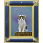 八代亜紀 ひだまり