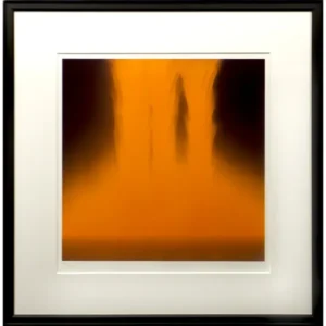 千住博 フォーリングカラー