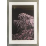 千住博 夜桜月下