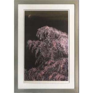 千住博 夜桜月下