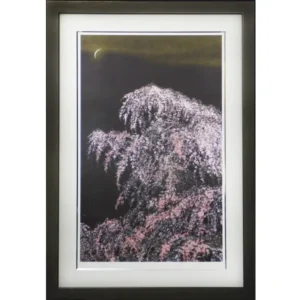 千住博 夜桜月下