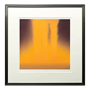 絵画 千住博 フォーリングカラー ORANGE