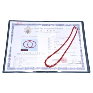 天然血赤珊瑚 ネックレス 宝石鑑別書付