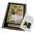 柳田悠岐 通算150号本塁打達成記念 直筆サイン入り フォトパネル 証明書付き