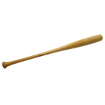 阿部慎之助 直筆サイン入りバット