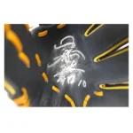 サイン入りグローブ 谷選手